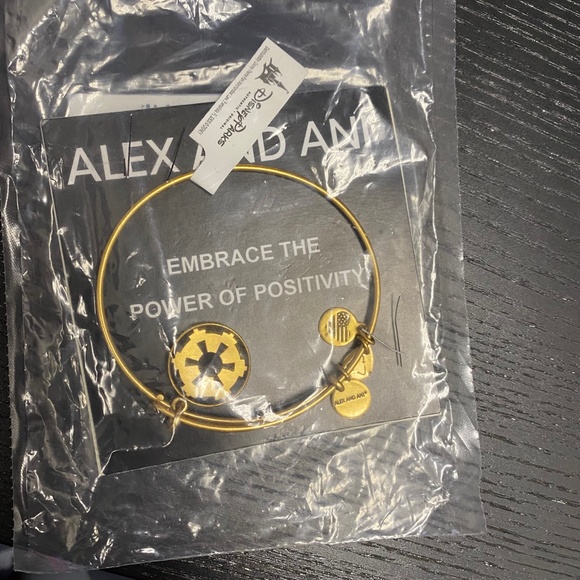 Alex and Ani Disney Star Wars Imperial Symbol Charm Bangle - Picture 2 of 2